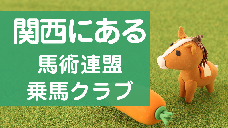 乗馬体験って何するの 必要な持ち物 費用 服装について徹底解説 乗馬用品ジョセスの記事一覧